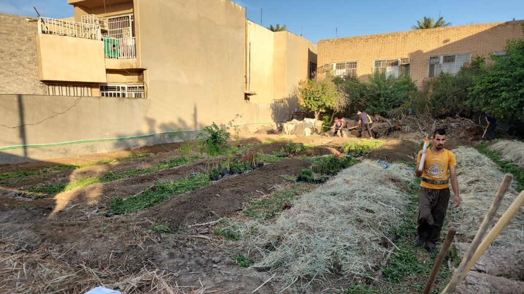 PHOTO-2023-10-22-07-24-33 600M Urban Farming