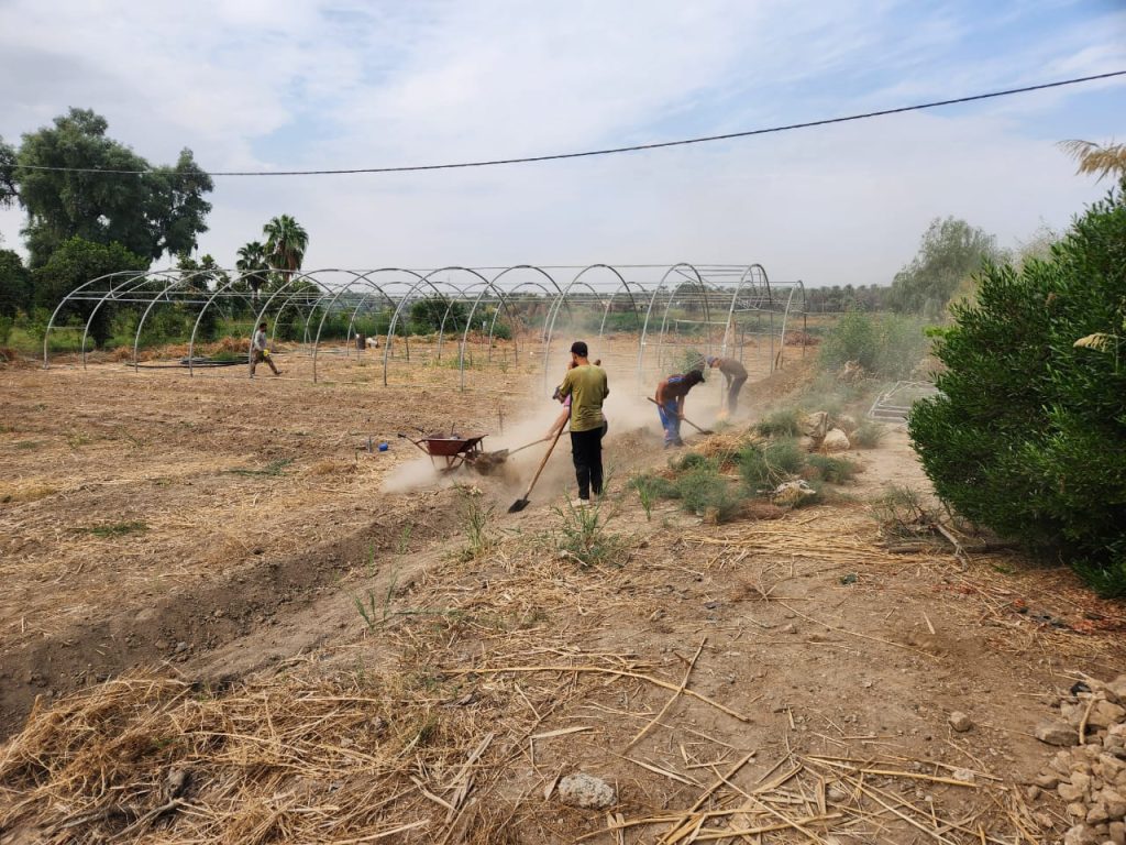 PHOTO-2023-10-23-09-42-44 Al Rashdiya Nursery