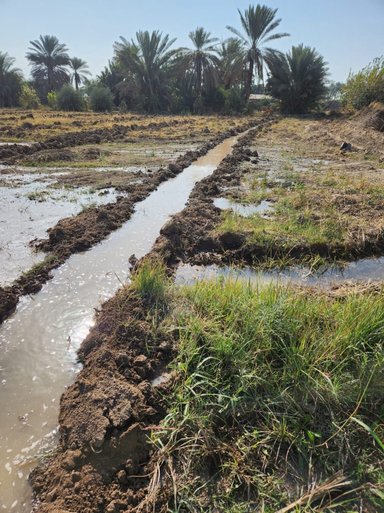 PHOTO-2023-11-26-14-17-32 Abo Ghraib Farm