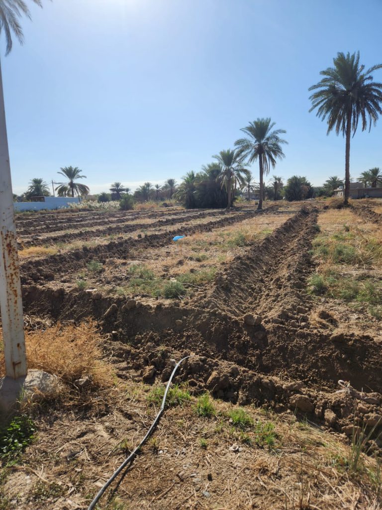 PHOTO-2023-11-28-16-52-53 Abo Ghraib Farm