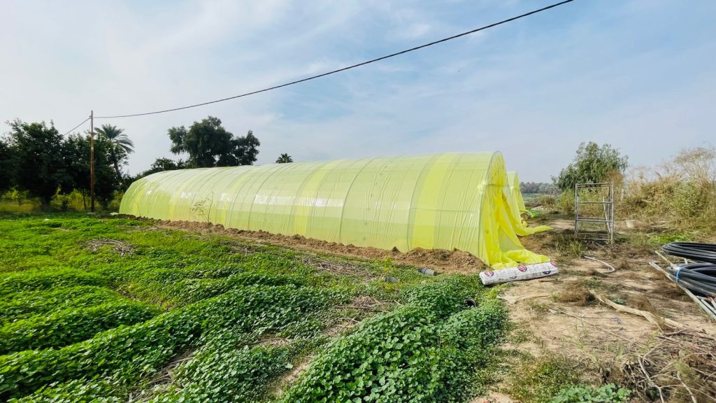 PHOTO-2023-12-11-11-35-45 Al Rashdiya Nursery