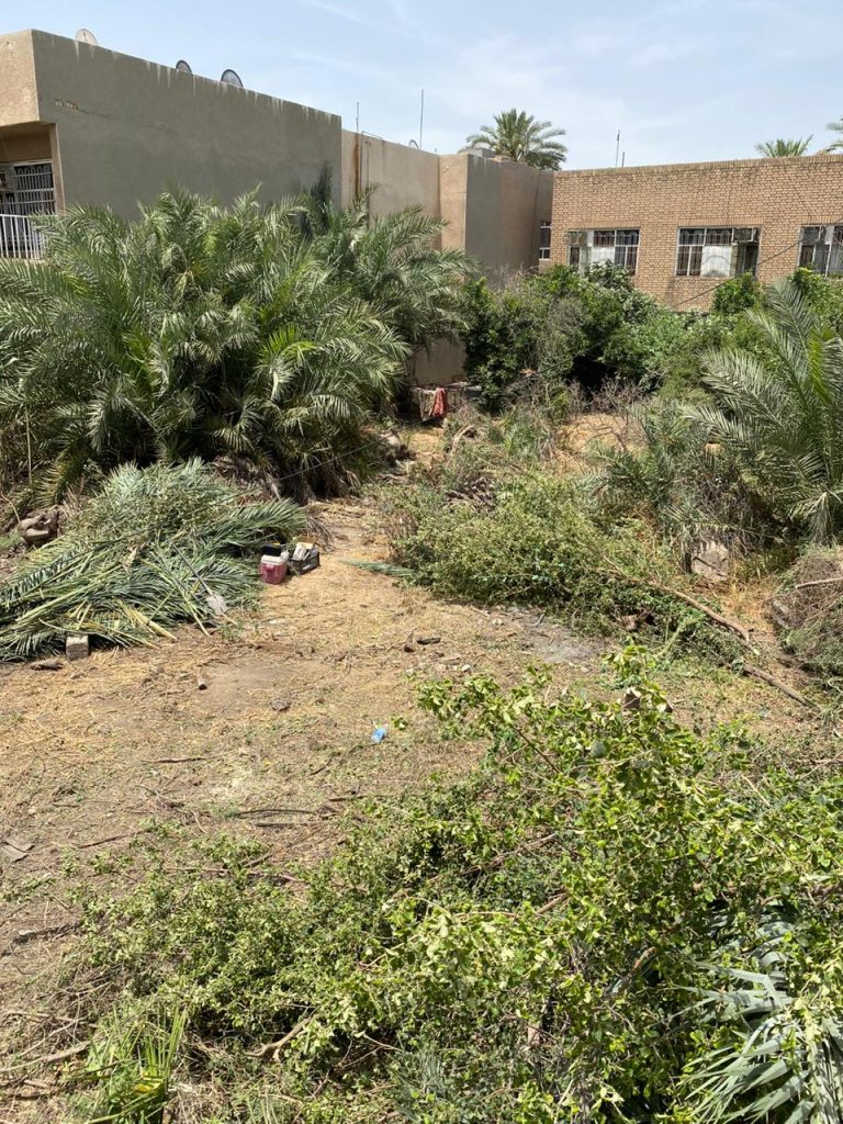 PHOTO-2023-12-16-00-03-37 600M Urban Farming