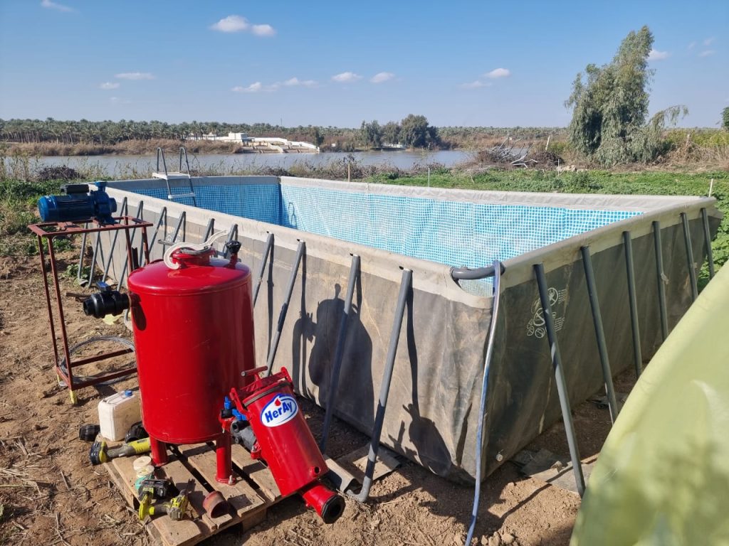 PHOTO-2024-08-11-21-07-24 2 Al Rashdiya Nursery