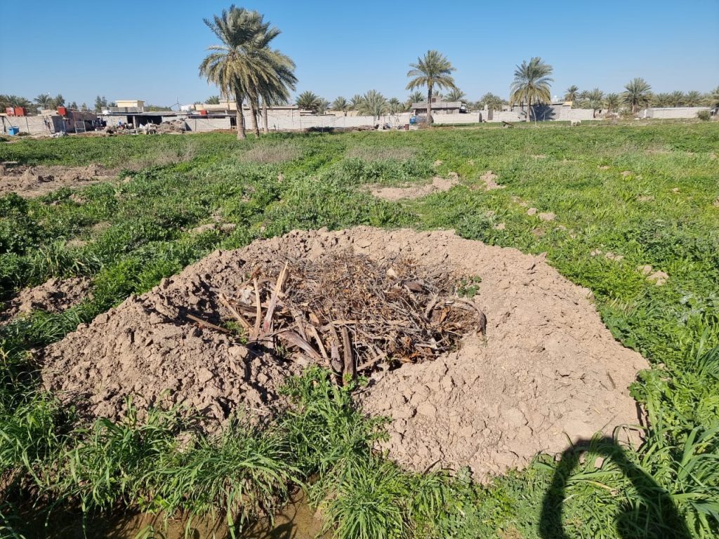 PHOTO-2024-08-11-21-17-22 Abo Ghraib Farm